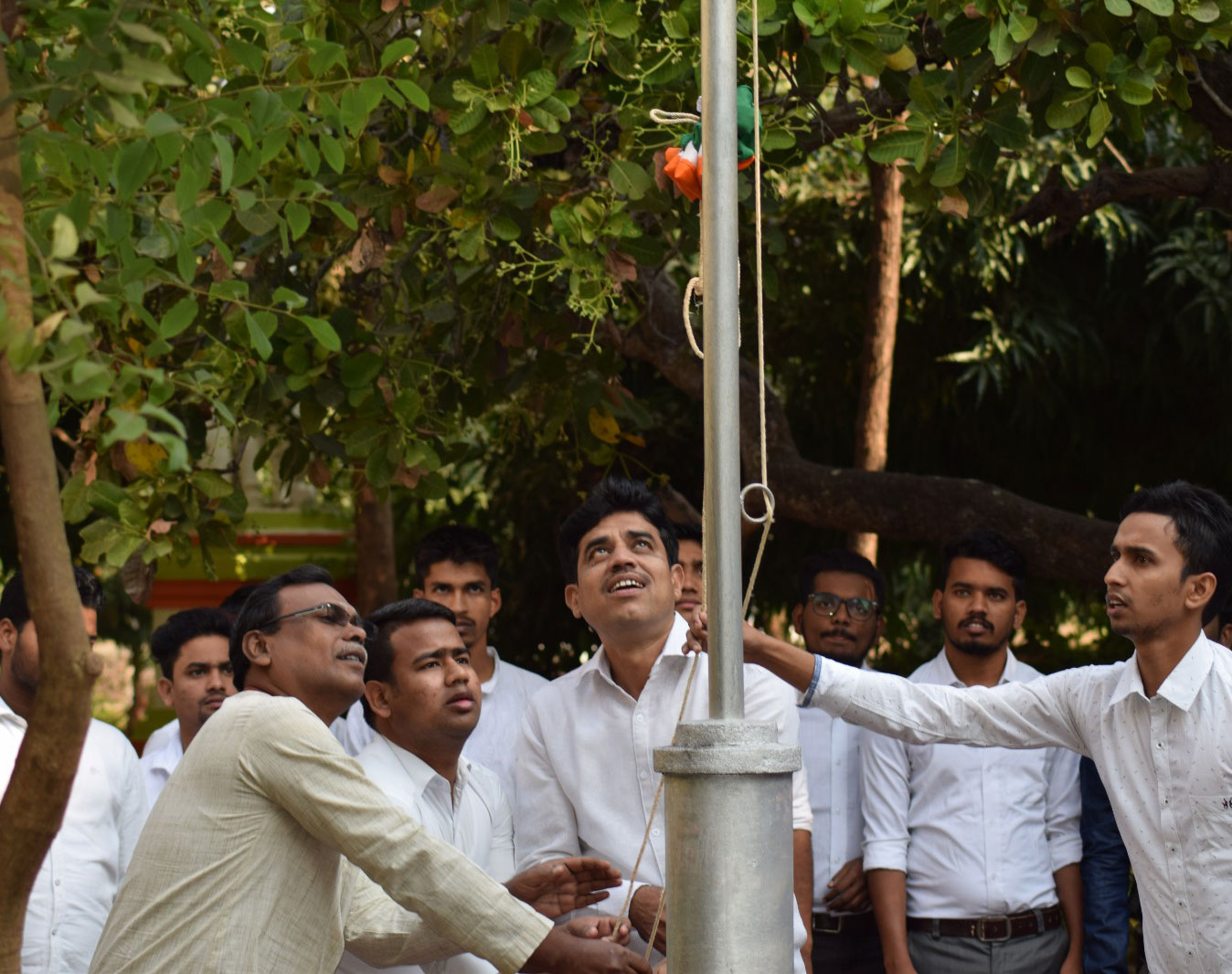 Hillside-pharmacy-college